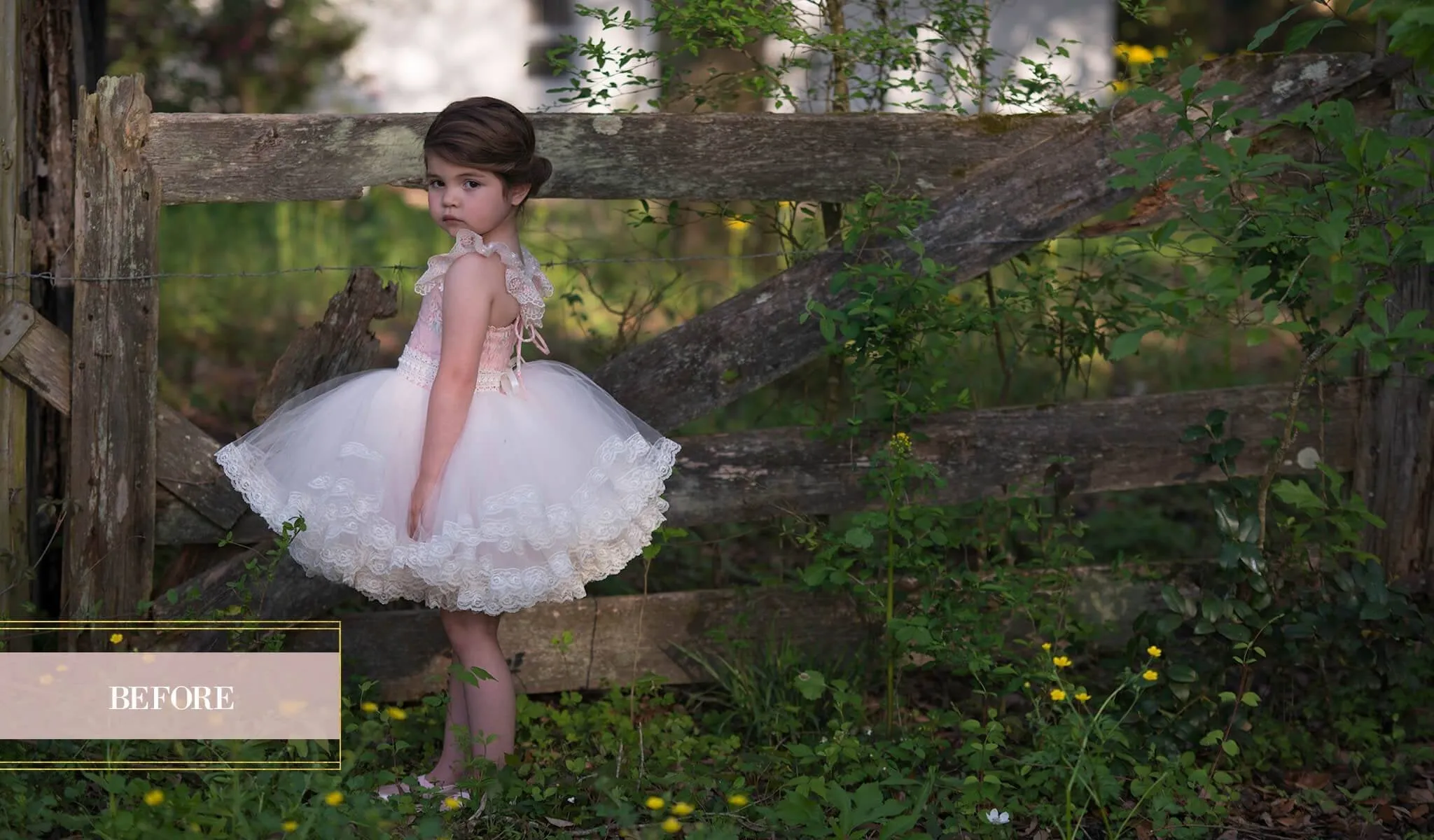 FILM Photoshop Actions Collection